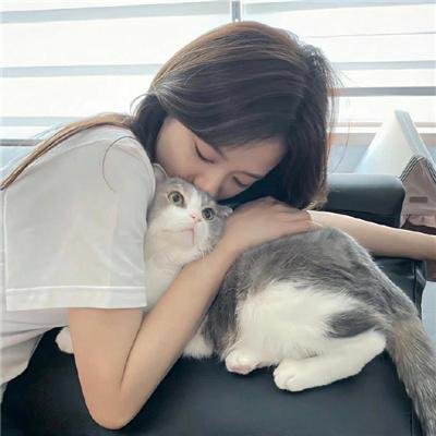腐败 海报