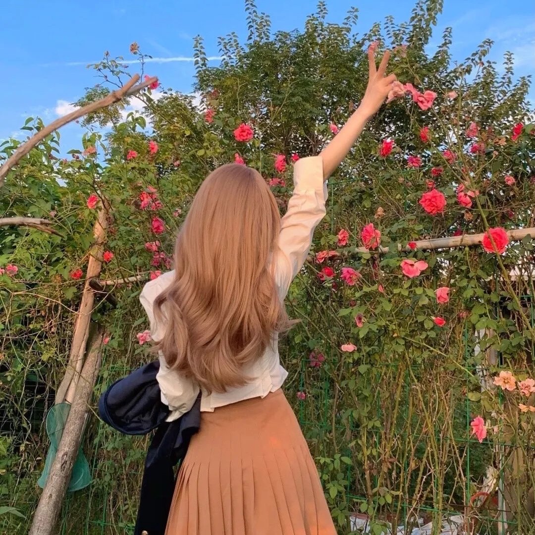 我的单板女孩第二季 海报