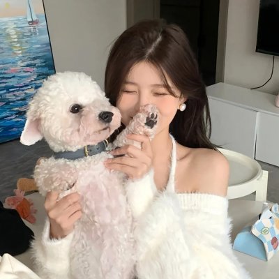 梦幻飞琴 海报